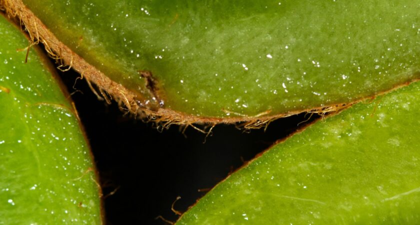 Соль и здоровье — Как соль влияет на здоровье и почему она необходима